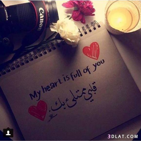 lolymohamad